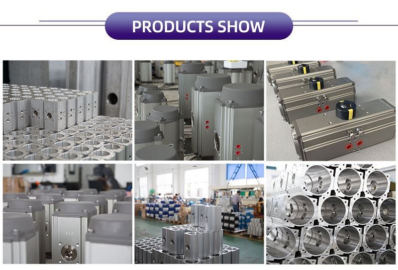 120 Degree Pneumatic Actuator