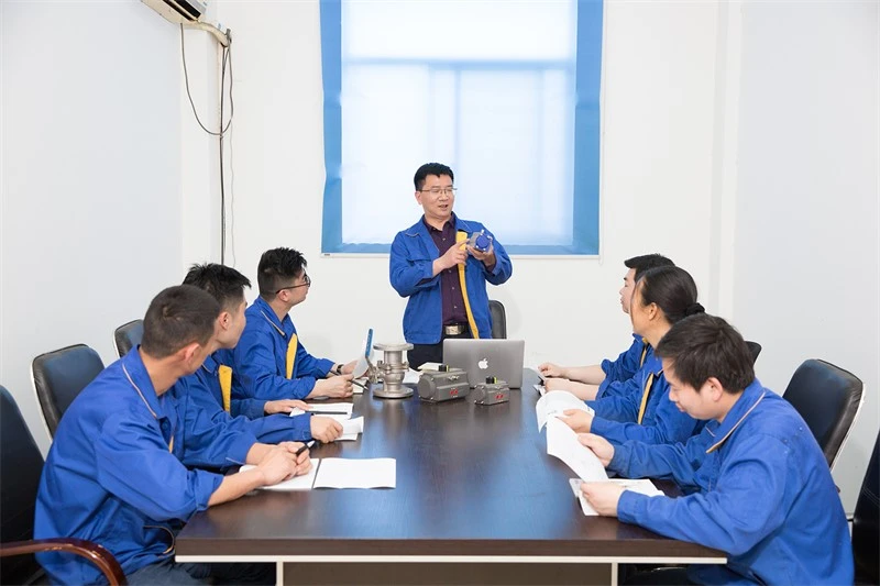 Professional Technical Team