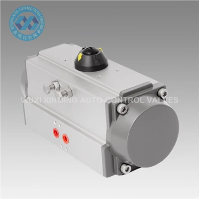 Tillverkare Direktkvalitet Dubbelverkande Pneumatisk ventilenhet Cylinder Switch Type Pneumatic Actuator
